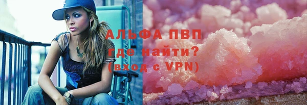 индика Алексин
