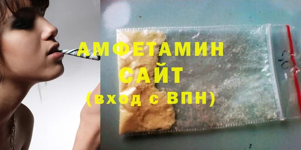 индика Алексин