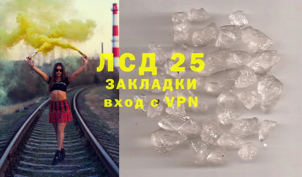 индика Алексин