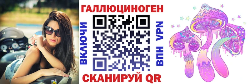 Галлюциногенные грибы Psilocybe Каменногорск
