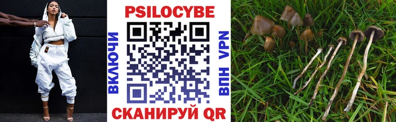 где продают наркотики Каменногорск Галлюциногенные грибы GOLDEN TEACHER