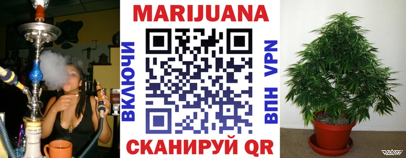 МАРИХУАНА планчик  Каменногорск 
